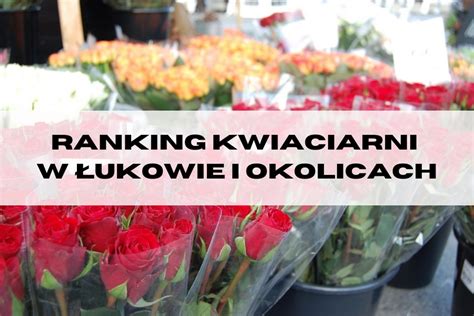 kwiaciarnia azalia łuków.